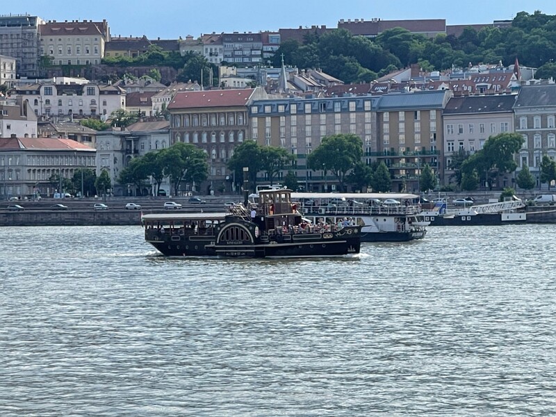 IMG 7658