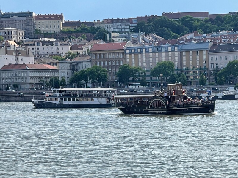 IMG 7660