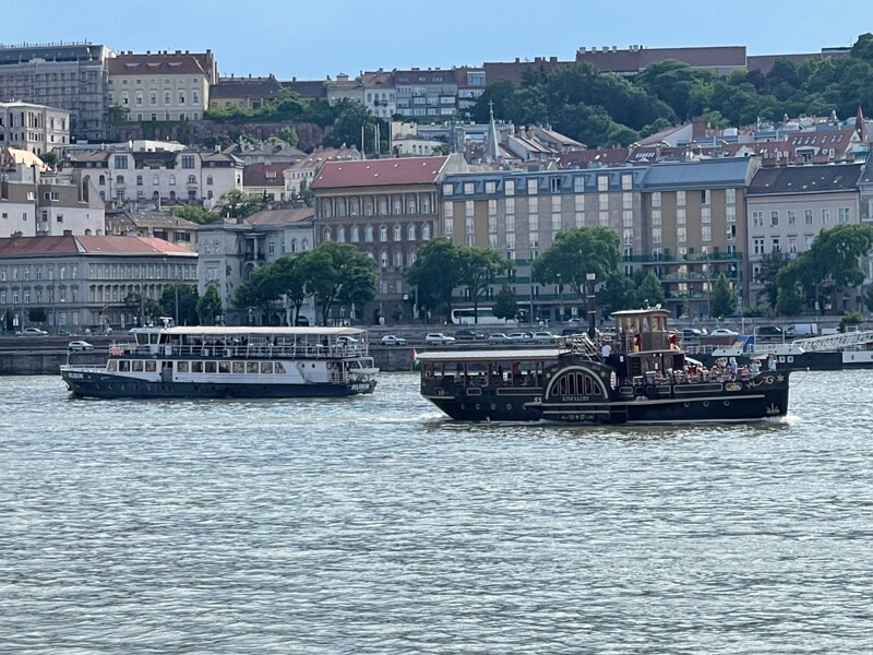 IMG 7661