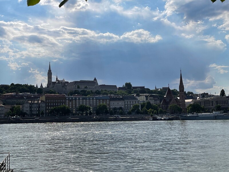 IMG 7674