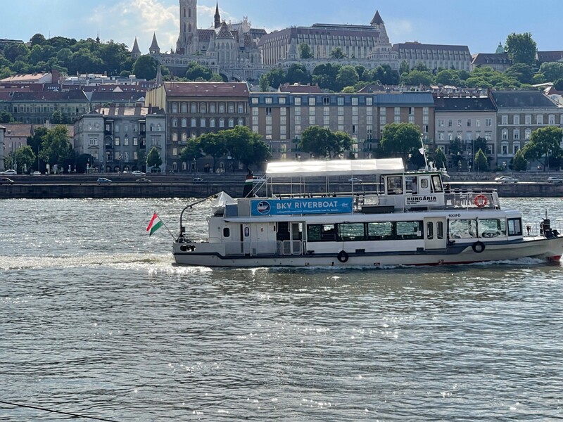 IMG 7677