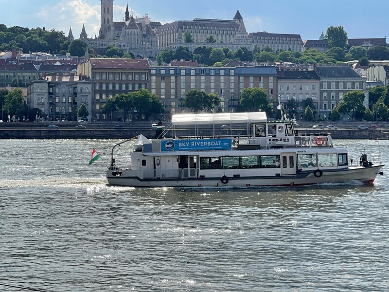 IMG 7678
