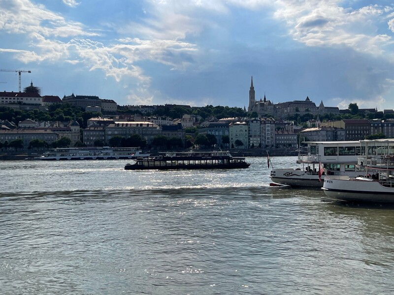 IMG 7681