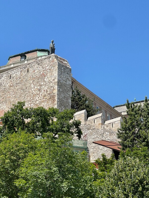 IMG 7987